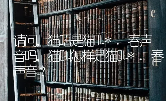 请问，猫唔是猫叫*.春声音吗，猫叫怎样是猫叫*.春声音？ | 动物养殖问答