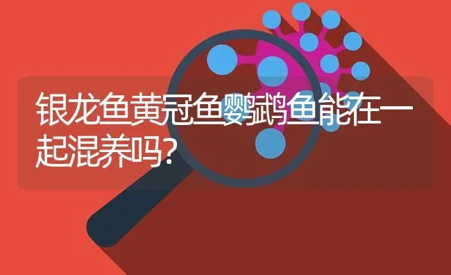 银龙鱼黄冠鱼鹦鹉鱼能在一起混养吗？ | 鱼类宠物饲养