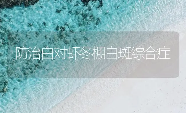 防治白对虾冬棚白斑综合症 | 海水养殖技术