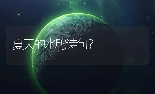 夏天的水鸭诗句？ | 鱼类宠物饲养