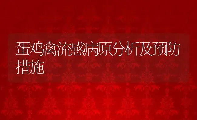 蛋鸡禽流感病原分析及预防措施 | 动物养殖教程