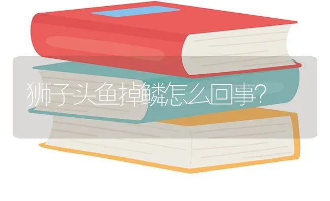 狮子头鱼掉鳞怎么回事？ | 鱼类宠物饲养