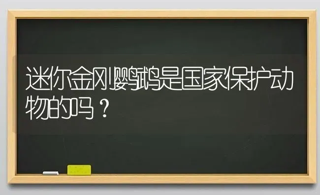 迷你金刚鹦鹉是国家保护动物的吗？ | 动物养殖问答