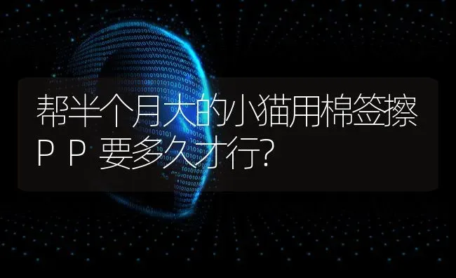 帮半个月大的小猫用棉签擦PP要多久才行？ | 动物养殖问答