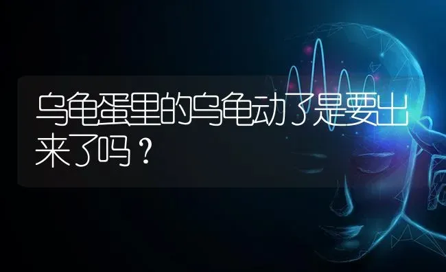 乌龟蛋里的乌龟动了是要出来了吗？ | 动物养殖问答