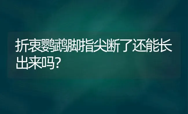 折衷鹦鹉脚指尖断了还能长出来吗？ | 动物养殖问答