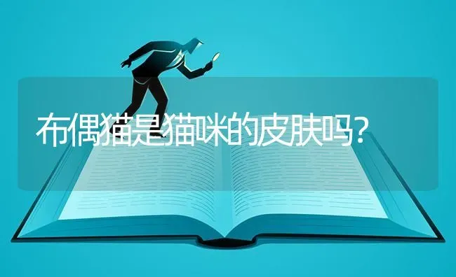 布偶猫是猫咪的皮肤吗？ | 动物养殖问答