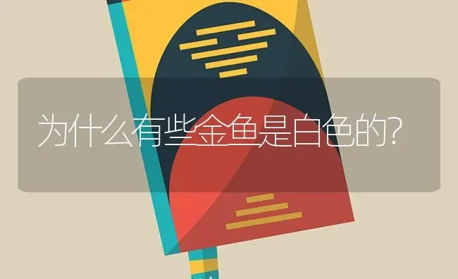 为什么有些金鱼是白色的？ | 鱼类宠物饲养