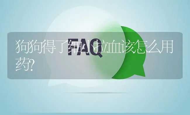 狗狗得了细小拉血该怎么用药？ | 动物养殖问答