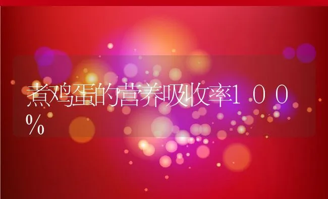 煮鸡蛋的营养吸收率100% | 动物养殖学堂