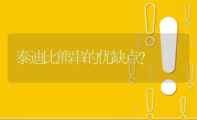 泰迪比熊串的优缺点？ | 动物养殖问答