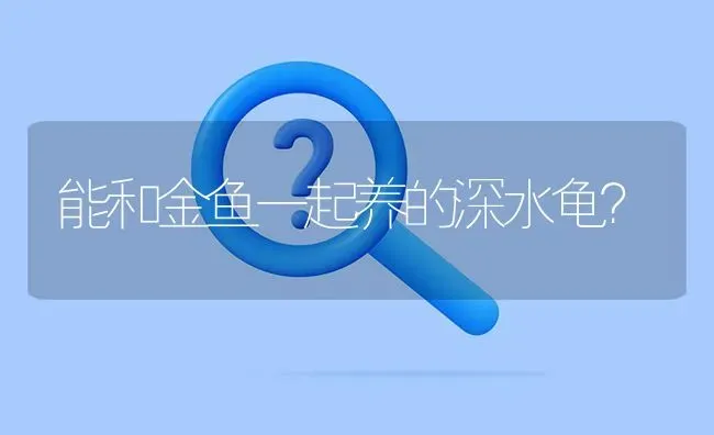 冷水鹦鹉鱼食有沉底的吗？ | 鱼类宠物饲养