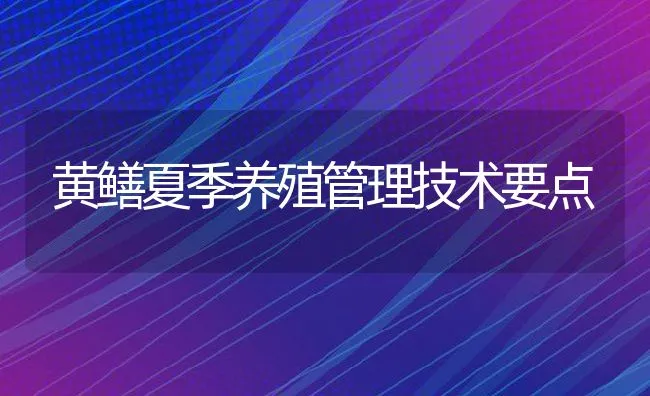 黄鳝夏季养殖管理技术要点 | 动物养殖饲料