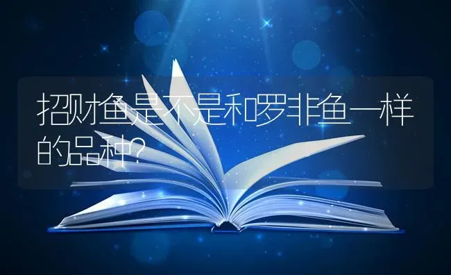 招财鱼是不是和罗非鱼一样的品种？ | 鱼类宠物饲养