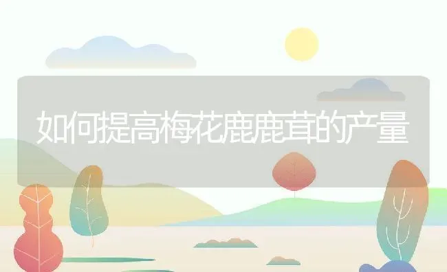 如何提高梅花鹿鹿茸的产量 | 动物养殖百科