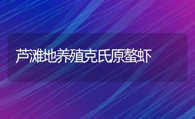 芦滩地养殖克氏原螯虾 | 动物养殖教程