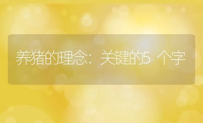 养猪的理念：关键的5个字 | 动物养殖学堂