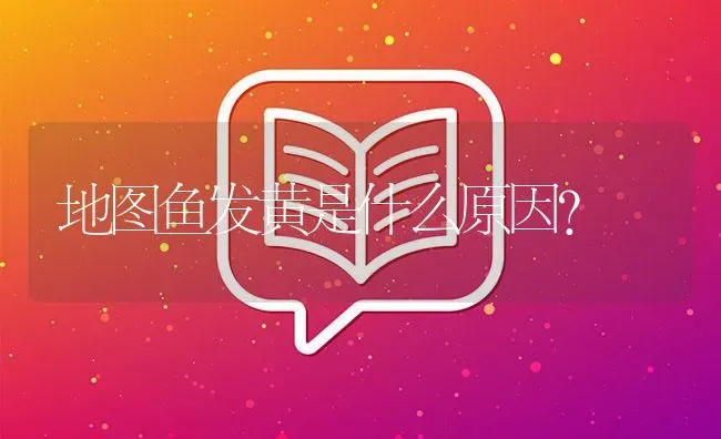 地图鱼发黄是什么原因？ | 鱼类宠物饲养