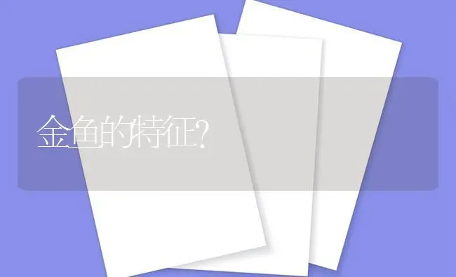 仓鼠饮食和睡觉知识？ | 动物养殖问答