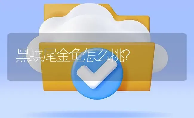 黑莲灯鱼怎么选？ | 鱼类宠物饲养
