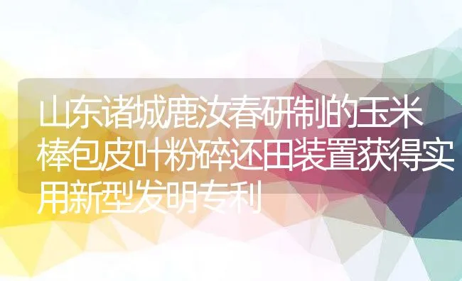 山东诸城鹿汝春研制的玉米棒包皮叶粉碎还田装置获得实用新型发明专利 | 水产养殖知识