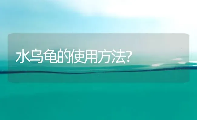 水乌龟的使用方法？ | 动物养殖问答