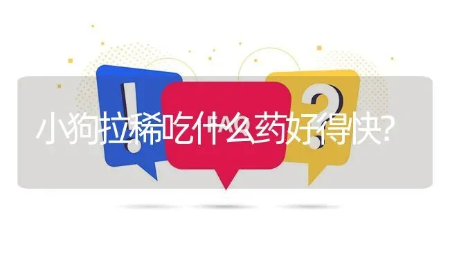 小狗拉稀吃什么药好得快？ | 动物养殖问答