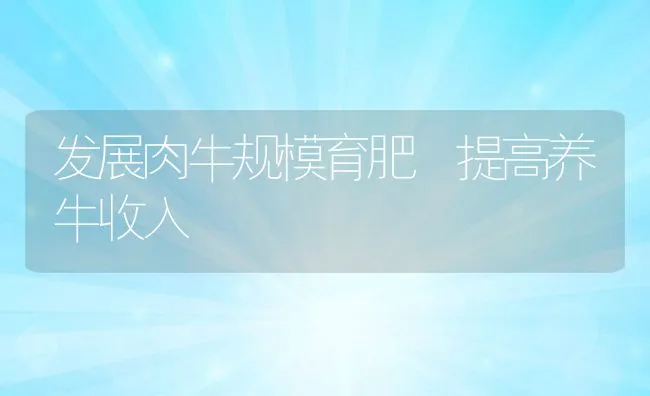 发展肉牛规模育肥 提高养牛收入 | 动物养殖学堂