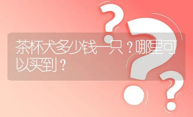 茶杯犬多少钱一只？哪里可以买到？ | 动物养殖问答