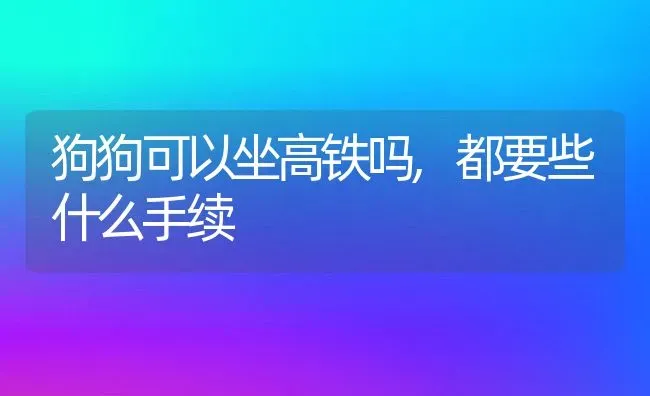 狗狗可以坐高铁吗,都要些什么手续 | 宠物百科知识