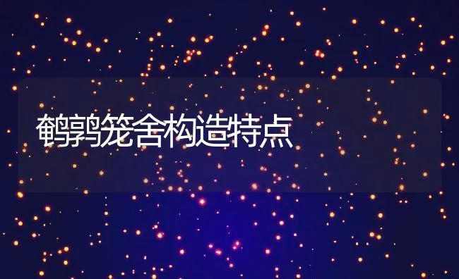 鹌鹑笼舍构造特点 | 动物养殖学堂