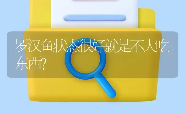 罗汉鱼状态很好就是不大吃东西？ | 鱼类宠物饲养