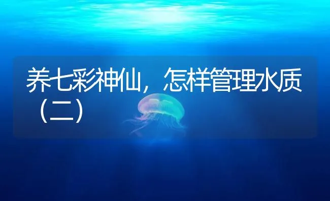 养七彩神仙，怎样管理水质（二） | 海水养殖技术