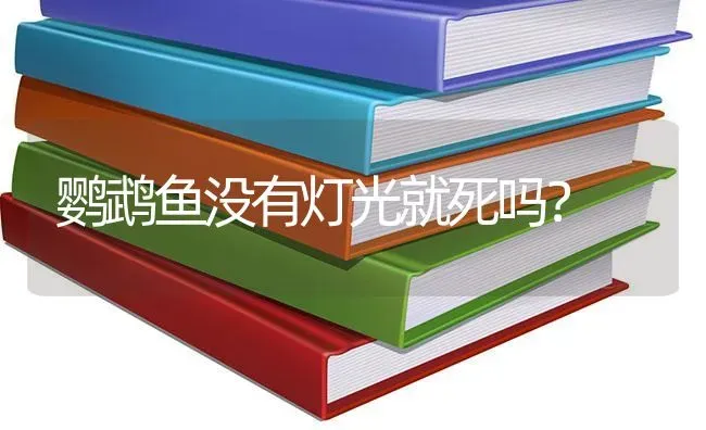 鹦鹉鱼没有灯光就死吗？ | 鱼类宠物饲养