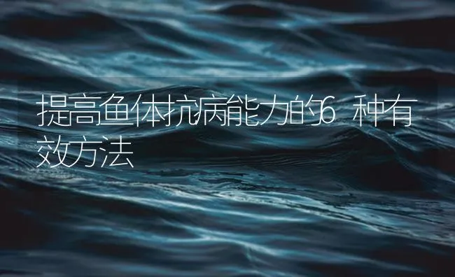 提高鱼体抗病能力的6种有效方法 | 海水养殖技术