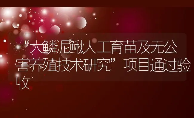 “大鳞泥鳅人工育苗及无公害养殖技术研究”项目通过验收 | 动物养殖饲料