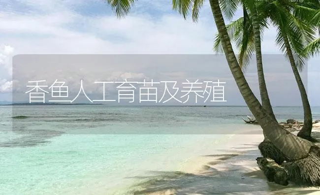 香鱼人工育苗及养殖 | 海水养殖技术