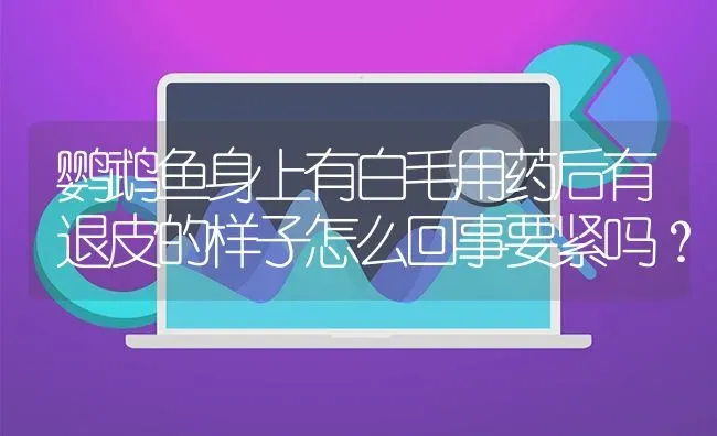 鹦鹉鱼身上有白毛用药后有退皮的样子怎么回事要紧吗？ | 鱼类宠物饲养