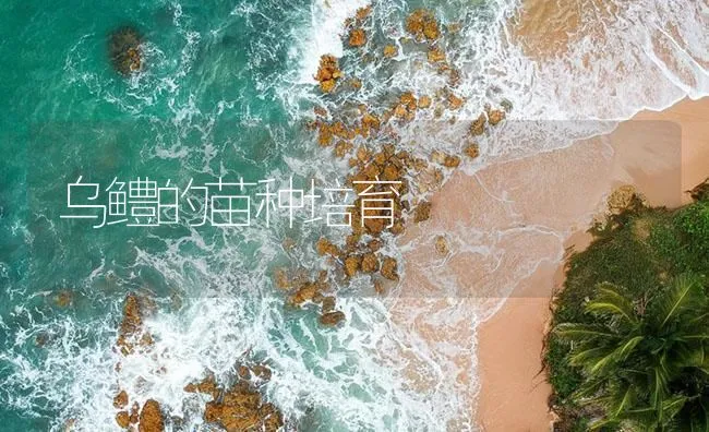 乌鳢的苗种培育 | 海水养殖技术