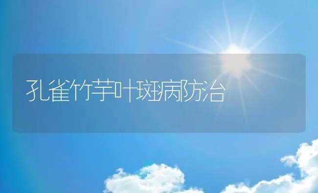 孔雀竹芋叶斑病防治 | 水产养殖知识