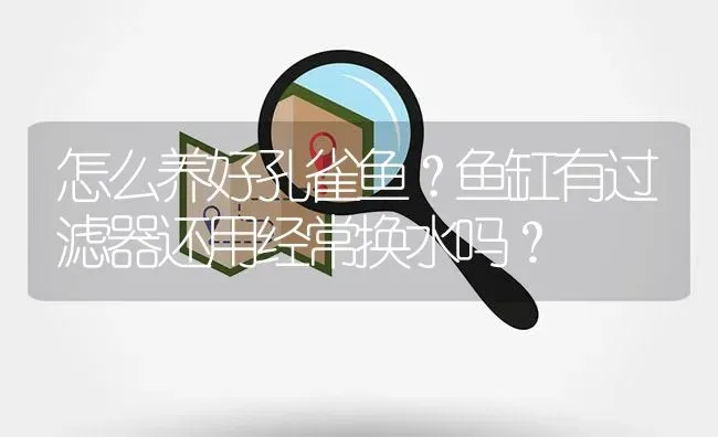 怎么养好孔雀鱼？鱼缸有过滤器还用经常换水吗？ | 鱼类宠物饲养