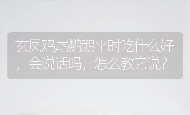 玄凤鸡尾鹦鹉平时吃什么好，会说话吗，怎么教它说？ | 动物养殖问答