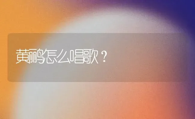 黄鹂怎么唱歌？ | 动物养殖问答