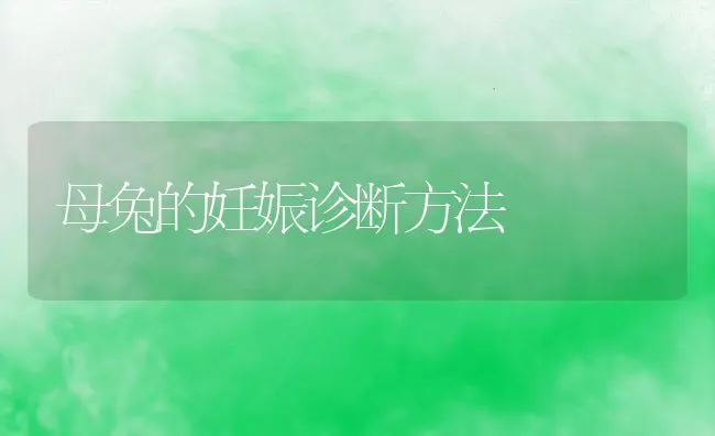 母兔的妊娠诊断方法 | 水产养殖知识