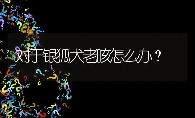 对于银狐犬老咳怎么办？ | 动物养殖问答