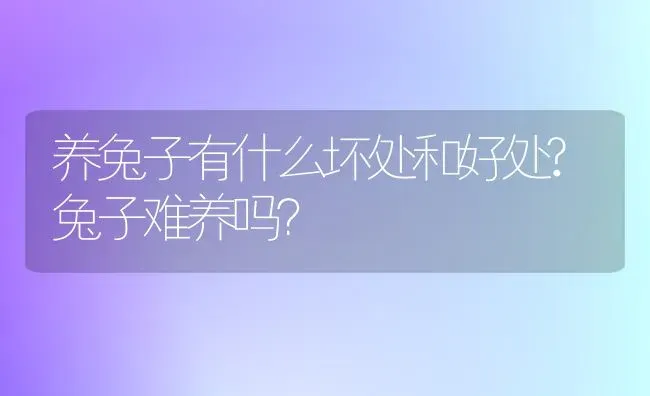 养兔子有什么坏处和好处?兔子难养吗？ | 动物养殖问答