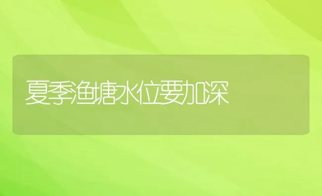 渔塘春季管理莫忽视 | 海水养殖技术