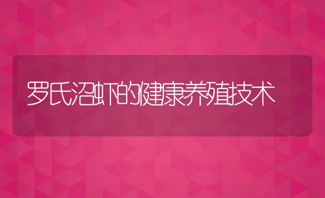 罗氏沼虾的健康养殖技术 | 动物养殖饲料