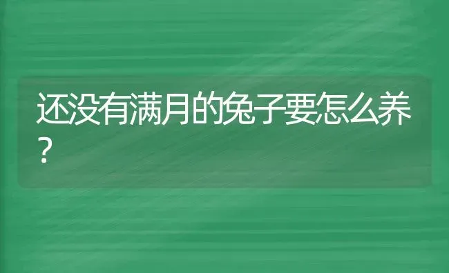 还没有满月的兔子要怎么养？ | 动物养殖问答