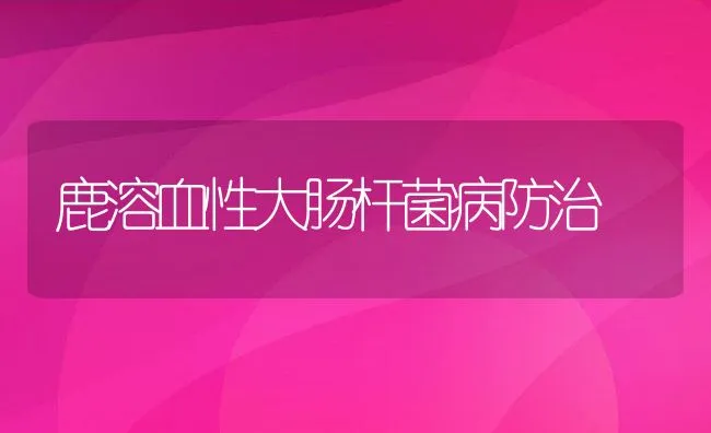 鹿溶血性大肠杆菌病防治 | 水产养殖知识